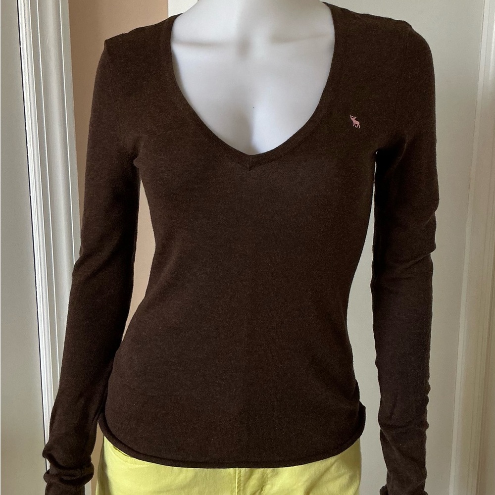 Abercrombie & Fitch Brown Fitted Long Sleeve Tee